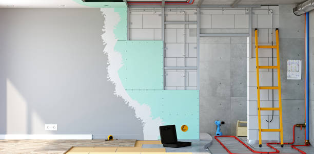 Best Mold Damage Restoration  in Dunnigan, CA