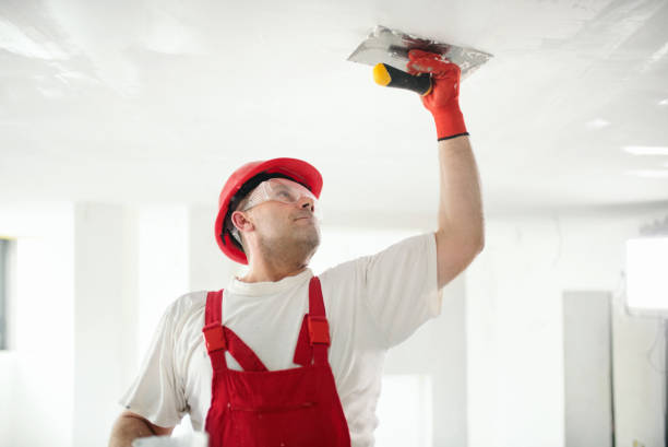 Best Environmental Consulting for Mold Prevention  in Dunnigan, CA