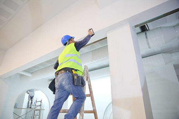 Best Commercial Mold Inspection  in Dunnigan, CA